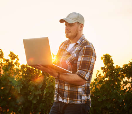 Farmer typing on a laptop outdoors using the internet to plan a harvest and crop growth on a vineyard farm. An agriculture expert using technology to manage his organic and sustainable produceの写真素材