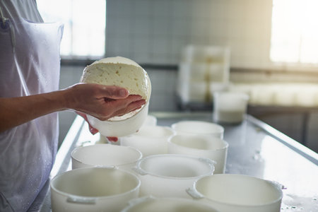 Handmade cheese. an unrecognizable female farm worker making cheese in a factory on the farm.の写真素材