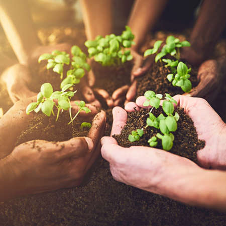 Life is our responsibility. Closeup shot of a group of unrecognizable people holding plants growing...