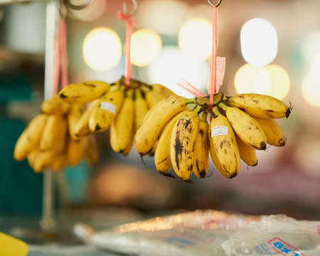 Potent in potassium. bunches of bananas hanging from strings at a food market.
