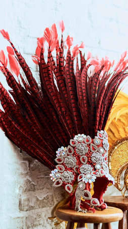 It has to be vibrant so all can see it. a costumes headwear of samba dancers for carnival with no...