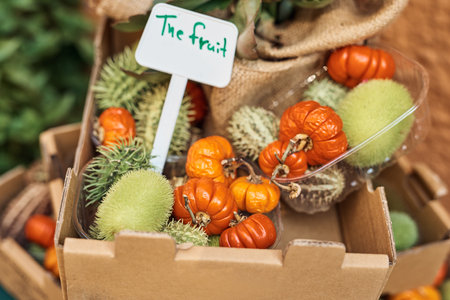 For those who seek something different to eat. a cardboard box of fruit and vegetables.の写真素材