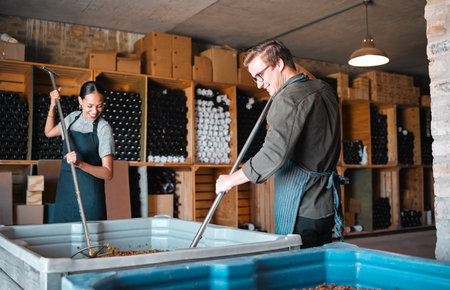 Winemaker workers in the process of making wine with a wine press tool or equipment in a warehouse, winery or distillery. Woman, man or vintner people pressing juice of grapes for alcohol industryの写真素材