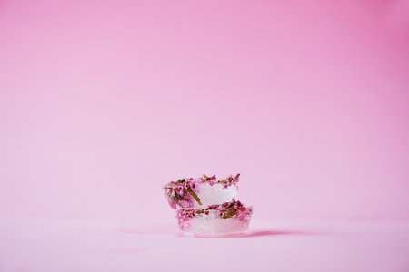 Find beauty in the small things. Studio shot of flowers frozen into ice blocks against a pink background.の写真素材
