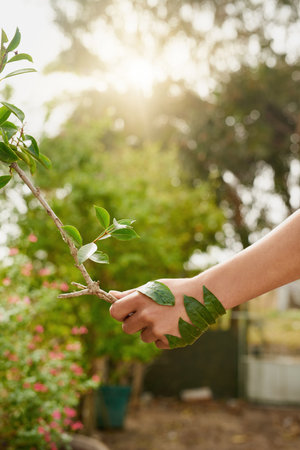 Hand in hand with nature. an unidentifiable young man shaking hands with a branch in his garden.の写真素材