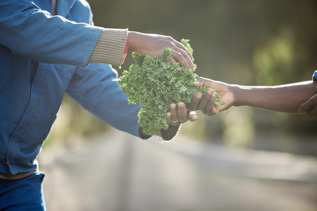 Sustainability, farm environment and kale leaf plants for agriculture harvesting in countryside with growth and nature. Workers in vegetable garden farming with healthy green crops from natural earthの写真素材