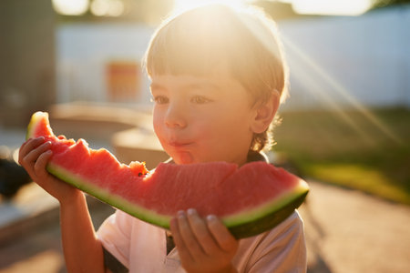 Sweet tastes of summer. an adorable little boy eating a slice of watermelon in the backyard.の写真素材