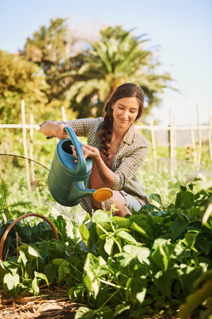 All they need is sunshine and water. a happy young farmer watering herbs with a watering can on her farm.の写真素材