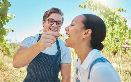Love, agriculture and couple on a vineyard in happy moment sharing grapes on a wine tasting farm....