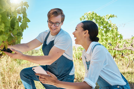 Phone app, laughing wine farmer and happy sustainability agriculture couple with 5g harvest growth...