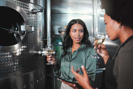 Woman winemaker discuss, planning and tasting wine in a distillery to expand the business. Alcohol management, professional or expert drinking a glass while collaborating for a startup winery cellarの写真素材