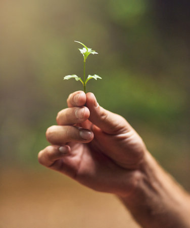 Be good to nature. an unidentifiable person holding a small plant in their hand.の写真素材