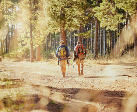 Friends or hikers hiking in a forest in nature on a dirt trail outdoors on a sunny summer day near...