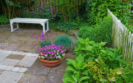 Beautiful budding flowers. potted flowers growing outside.の写真素材