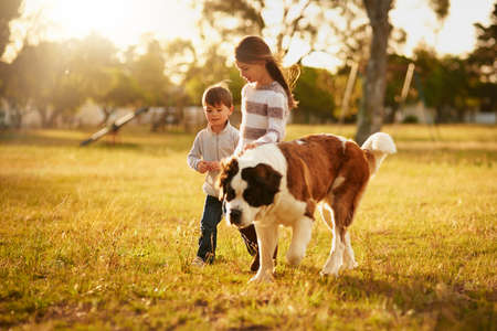 Looking for adventure together. two cute little siblings walking through a park with their dog.の写真素材