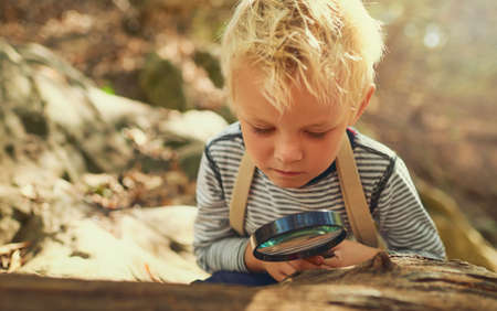 Hes curious about the world. Shot of an inquisitive little boy exploring the woods with a magnifying...