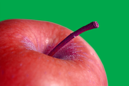 Fresh apples. Fresh apples - an apple a day keeps the doctor away.の写真素材