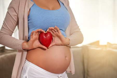 Love begins before birth. a pregnant woman holding a red heart in front of her belly.の写真素材