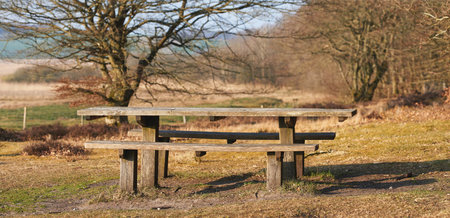Moorland - Rebild National Park. Moorland at Rebild National Park, Jutland, Denmark.