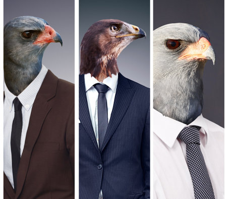 Birds of a feather flock together. Conceptual image of animal heads on business people.