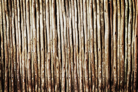 What do you call a group of sticks. Closeup shot of wooden logs.の写真素材