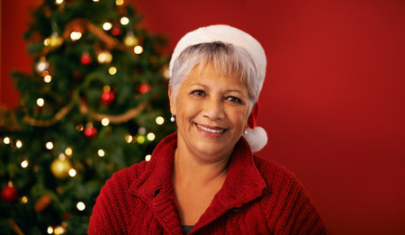 Feeling jolly. Cropped studio shot of a mature woman looking happy in her christmas hat.の写真素材