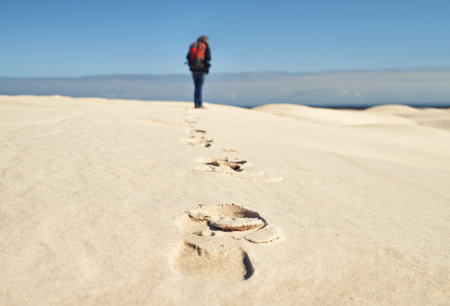 Rearview of a young female hiker walking along the sand dunes.の写真素材