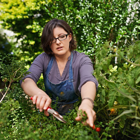 No life is without difficulty no garden is without weeds. A middle-aged woman trimming plants in her...