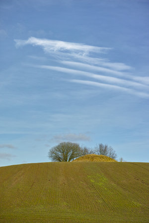 Trees on a picturesque hilltop. Trees on a cultivated hillptop.の写真素材