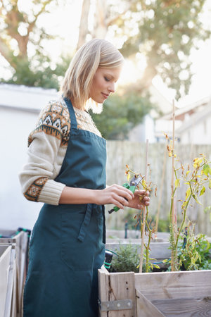 Gardening is more than a hobby...A young woman busy gardening.の写真素材