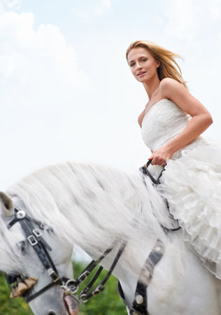 Stunning atop her steed - Wedding Day. A gorgeous bride posing for wedding photos atop her white horse.の写真素材