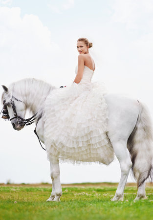 Stunning atop her steed - Wedding Day. A gorgeous bride posing for wedding photos atop her white horse.の写真素材