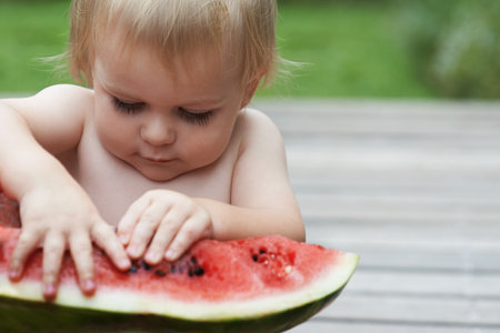 A toddler using his hands to take apart a watermelon.の写真素材