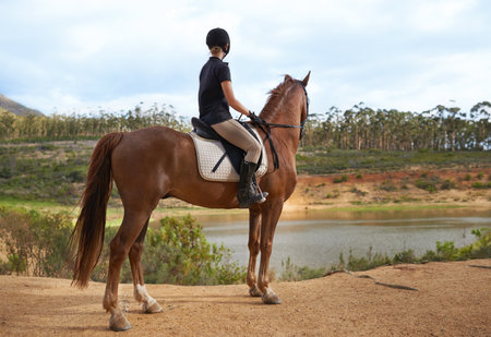 Experiencing nature on horseback. A young woman going for a ride on her chestnut horse.の写真素材