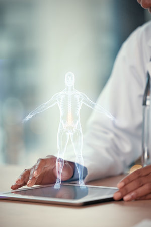 Hands of a medical doctor using 3D scan of a body. Healthcare worker looking at CGI scan of a spine on a tablet. Doctor using digital tablet app to vr render of the spine. Doctor using digital tabletの写真素材