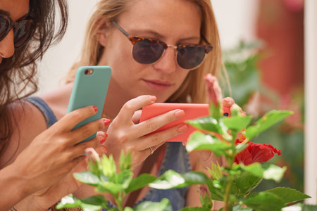 We always take pictures of Hibiscus plants. two attractive young friends standing together and using their cellphones to take pictures of Hibiscus flowers in Amalfi.の写真素材