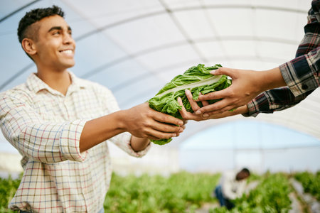 Couldnt do this alone. a young male farmer giving his coworker harvested produce.の写真素材