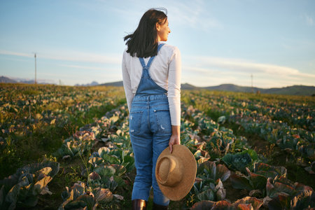 Woman farmer standing in a cabbage field on a farm. Young brunette female brunette with a straw hat and rubber boots looking over a field of organic vegetablesの写真素材