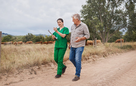 Farmers and veterinarians have a direct role in affecting animal welfare. a veterinarian talking to...