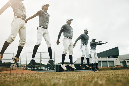 Baseball, training and exercise with a sport team preparing for a game on a grass pitch or field for sports. Fitness, teamwork and health with man friends getting ready during practice or a workoutの写真素材