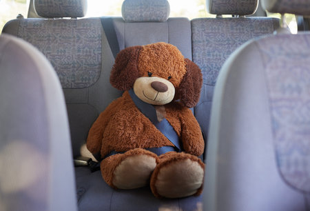 Teddy bear, seatbelt and safety on the back seat of a car while on a road trip, journey and travel...