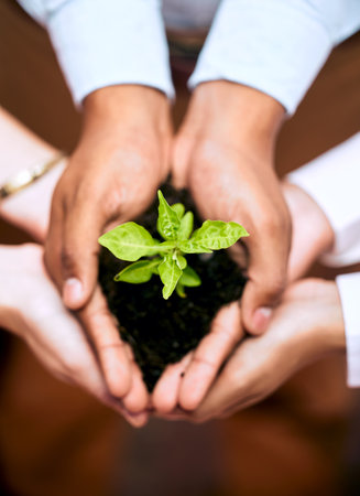 We grow as a team. a group of businesspeople holding a plant growing out of soil.の写真素材