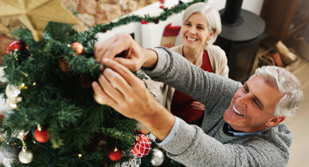 Its not whats on the tree, its whos around it. a happy senior couple decorating their Christmas tree at home.の写真素材