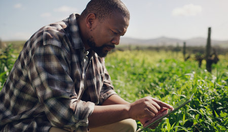 Those who respect the earth will be rewarded. a mature man using a digital tablet while working on a farm.の写真素材