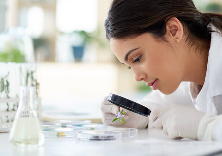 Theres always something new to learn and discover. a young scientist using a magnifying glass to...