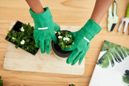Perfectly potted. High angle shot of an unrecognizable young female botanist potting plants while working in her florist.の写真素材