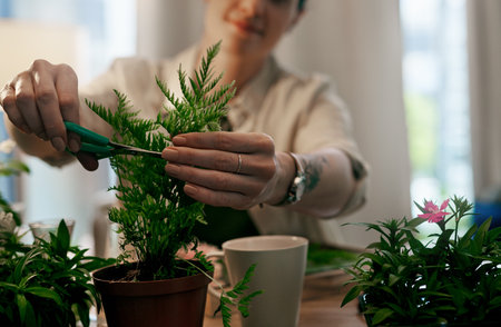 Just cutting off some loose ends. an unrecognizable florist trimming the leaves of a pot plant inside her store.の写真素材
