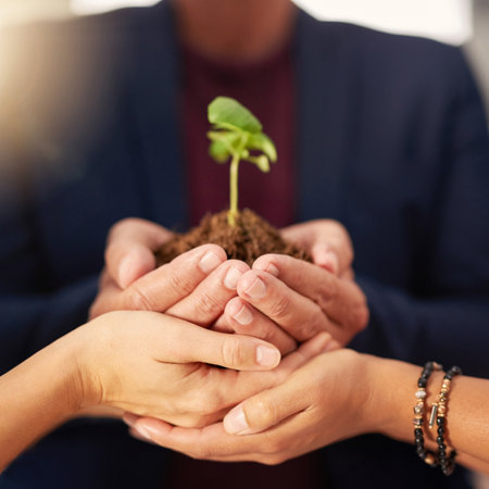 Growing a green business. a group of unrecognizable businesspeople holding a seedling in their cupped hands.の写真素材