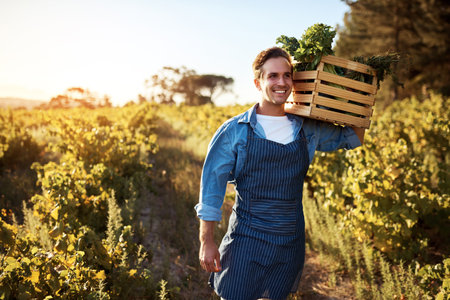 Hes a man on a farming mission. Cropped portrait of a handsome young man holding a crate full of freshly picked produce on a farm.の写真素材