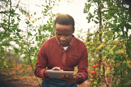 Using technology to manage his farm. a handsome young male farmer using a tablet while checking his crops.の写真素材